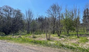 Tbd Wealthy Street, Albert Lea, MN 56007