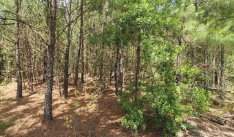 1 Lost Horn Rd, Branchville, SC 29432