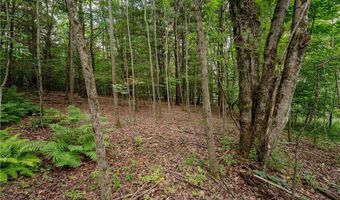County Road 2, Addison, NY 14801
