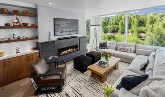 22856 Two Rivers Rd, Basalt, CO 81621