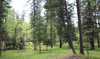 Nhn Black Wolf Trail, Bigfork, MT 59911