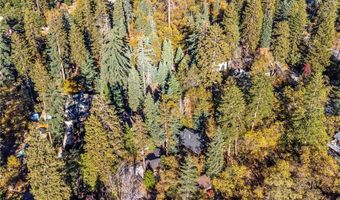 5879 Mountain Creek Home, Angelus Oaks, CA 92305