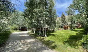209 Deer Path Ln, Almont, CO 81230