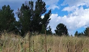 GOV LOTS 1-5, Anaconda, MT 59711