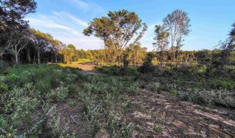 9751 Ocelot, Gilmer, TX 75644