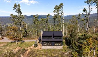 41 Windy Ridge Trl, Asheville, NC 28804