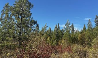 Old CC Rd, Addy, WA 99101