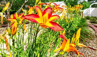 1558 RIDGEWAY Dr, Barboursville, VA 22923