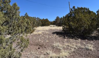 Tbd Stanford Road, Concho, AZ 85924