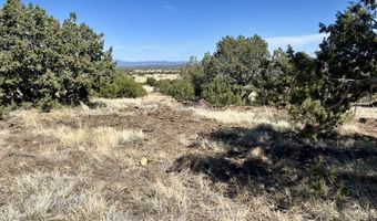 W Rawhide Ranch Road lot 46, Ash Fork, AZ 86320