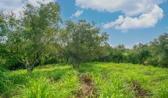 APOPO RD, Kapaa, HI 96746