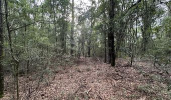 North 5 Ac Keyser Mill Road, Baker, FL 32531