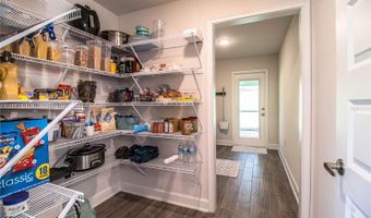4222 JULIANA LAKE Dr, Auburndale, FL 33823