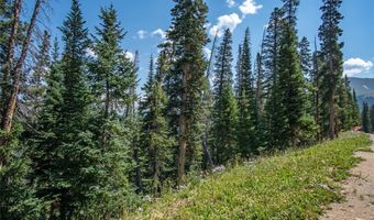 585 COUNTY ROAD 805, Breckenridge, CO 80424