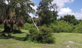 17451 Rewis Rd, Alva, FL 33920