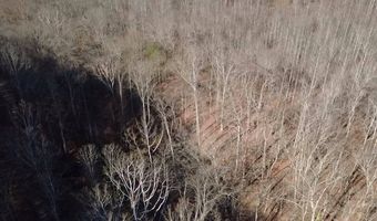 14001 Ridgeview Nellis Rd, Ashford, WV 25142