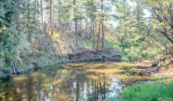 5207 N Creek Rd, Beulah, CO 81023