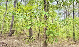 0 Peregrine Rise Dr, Big Sandy, TN 38221