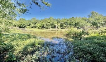 Jenkins Road, Alligator, MS 38720