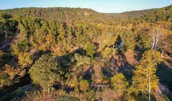 4495 County Road 405, Alton, MO 65606