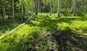 40 Acres Summit Mountain Rd, Brian Head, UT 84719