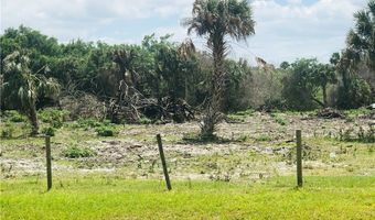 23590 Palm Beach Blvd, Alva, FL 33920