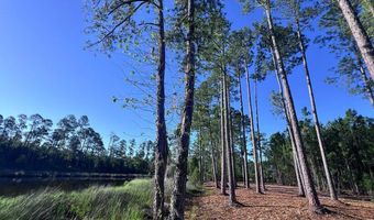 Jarvis Landing Road, Aurora, NC 27806