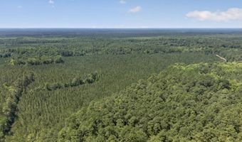 82 Acres Point Caswell Rd, Atkinson, NC 28421
