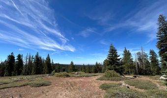 60 Liberty Rd, Arnold, CA 95223