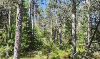 5 6 Acres 16th Ave Lot 3, Arkdale, WI 54613