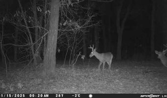 TBD Wilderness WY, Anderson, MO 64831