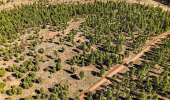 N2147, Alpine, AZ 85920