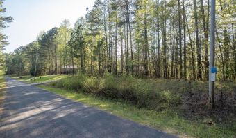 LOT 5 COUNTY ROAD 108, Arley, AL 35541