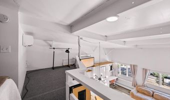 412 N Mill St B9, Aspen, CO 81611