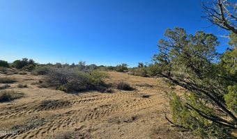 2 B S Cattle Crossing Rd, Yucca, AZ 86438