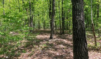 0 County Road 224, Alton, MO 65606