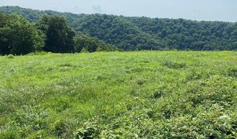 H O Allison lot 11, Baxter, TN 38544