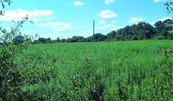 61413 H H SEALS Rd, Angie, LA 70426