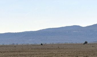 Oregon Pines Road TL 1200, Beatty, OR 97621