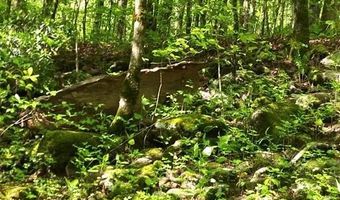 Lot 21 E Bobcat Lane, Wilder, TN 38589