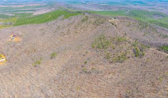 Larkin Mountain, Amherst, VA 24521