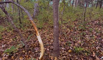 170 Th St, Albia, IA 52531