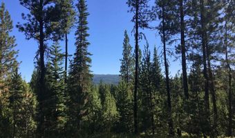 34 Silver Cloud Dr, Cascade, ID 83611