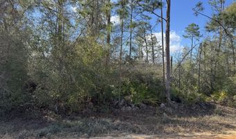 Monogahela Avenue, Alford, FL 32420