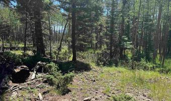 Lot 1012 El Camino Real, Angel Fire, NM 87710