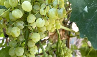 21 Agua Fria Rd, Belen, NM 87002