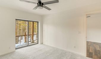 148 N Aspen St, Alma, CO 80420