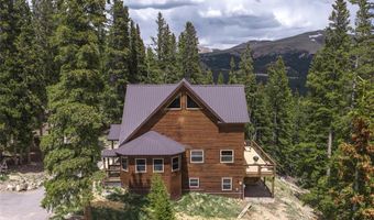 62 Lazy Rex Rd, Alma, CO 80440