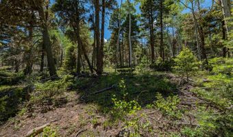 Lot 148 Brazos Dr, Angel Fire, NM 87710