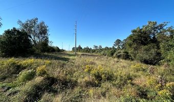 20 Ac State Hwy 95 Columbia Rd, Abbeville, AL 36310